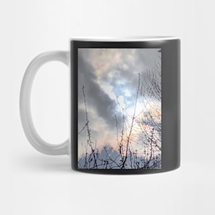 Sky1 Mug